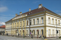 Prava istina o izujedanom djetetu u Sremskoj Mitrovici