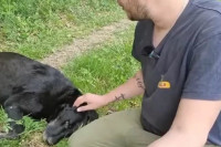 "Otrčao je, napravio uzbunu" Dario dobio neočekivanu pomoć šumi