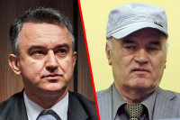 Darko Mladić: Generalu otkazali bubrezi, odbijen zahtjev da ga prebace na liječenje u Beograd