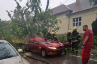 Дрво усмртило жену током невремена