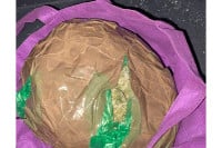 Palo 19 osumnjičenih dilera sa dva kilograma droge