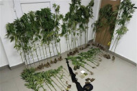 U Laktašima pronađeni droga i oružje, uhapšeno lice iz Banjaluke