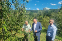 Minić: Vlada će djelimično izmiriti štetu od elementarne nepogode