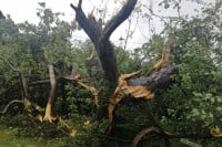 Nevrijeme zahvatilo Gradišku: Vje­tar no­sio kro­vo­ve i ču­pao drve­će (FOTO)