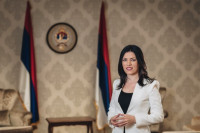 Vulić: Jedini koji se zalažu za dejtonsku BiH su vlasti Srpske