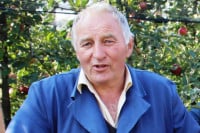Dojčinović: Bez veće štete od grada