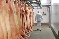 Pojačane inspekcijske kontrole na farmama i u klaonicama dale rezultate