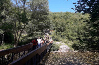 Počeo peti Pecka Outdoor festival
