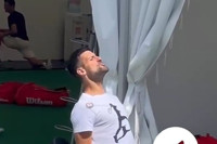 Đoković oponašao vuka: Njegovo zavijanje je čuo cijeli Vimbldon (VIDEO)