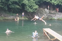 Fočaci spas od vrućine pronalaze u planinskim rijekama, koje nikad nisu bile toplije