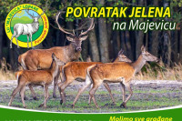 Jelen se vraća na Majevicu