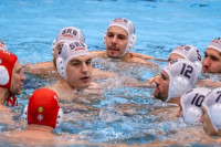 Stevanović odredio spisak Delfina za Pariz