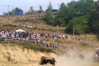 Bik Putalj pobjednik Grmečke koride
