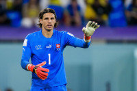 Jan Zomer završio reprezentativnu karijeru