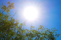 Danas sunčano, temperatura do 38 stepeni Celzijusovih