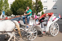 Ugljevičanin u kočiji dočekao mamu i bebu ispred porodilišta!