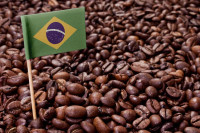 Suša u Brazilu prijeti da poveća cijene kafe