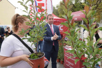 SPS zahtjeva prekid „betonizacije“ Banjaluke: U parku se ne gradi, u parku se sadi