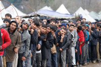 U Prijedoru pronađeno 66 migranata