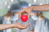 Jedan donor može spasti osam  života!