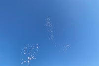 Pušteni baloni u čast djevojke koja je preminula nakon komplikacija tokom liječenja zuba