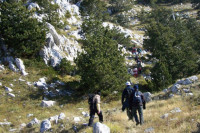 Planinari i dijete izvučeni iz planinske zone