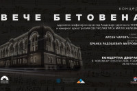 Dva orkestra na istom umjetničkom zadatku