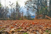 Pogledajte kakvo nas vrijeme očekuje danas