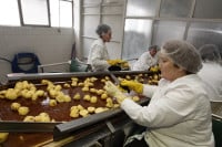 Prerađivačka industrija u Srpskoj ostala bez 3.000 radnika