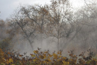 Padavine ili razvedravanje: Kakvo nas vrijeme očekuje prvog dana decembra