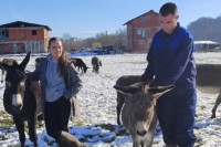 Mladi policajac iz Prijedora uzgaja magarce: Koliko košta litra mlijeka?