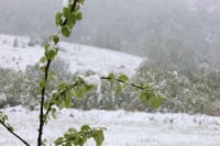 Pogledajte kakvo nas vrijeme očekuje