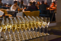 Danas festival domaćih vina, rakije i hrane