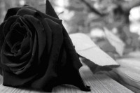 Tragedija: Umro još jedan sportski heroj