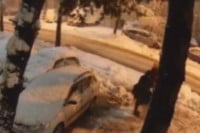 Jezivo: Drvo palo na pješaka u Banjaluci (VIDEO)
