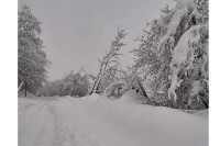Evakuisana trudnica sa Borja