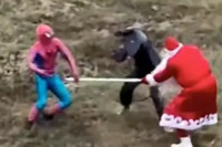 Neobična scena: Potukli se Deda Mraz, Spajdermen i učitelj Splinter (VIDEO)