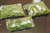 Uhapšen Zeničanin, pronađeno 1,7 kilograma marihuane