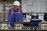 Putin predao kontrolu pivare Inbev Efes lokalnoj grupi Vmeste