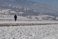 Uznemirujući video širi se BiH: Kangala pustio na psića
