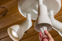 Svaki četvrti pripadnik generacije Z ne zna da promeni sijalicu