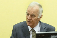 Darko Mladić: General praznike proveo u krevetu