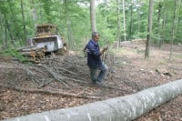 Očekivani minus u "Šumama" do 13 miliona maraka