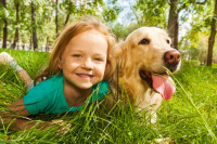 Top pet najrazigranijih pasmina pasa