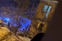 Objavljen snimak: Lugonjić pucao na policiju kroz vrata kuće u kojoj se krio