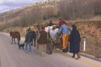 Od stradanja Srba u akciji "Maslenica" 32 godine