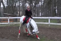 Ruskinja dovela cirkus u srpsko selo