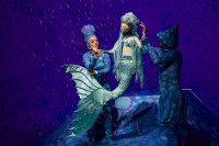 "Mala sirena" u DPRS