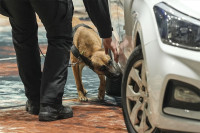 Službeni pas Granične policije BiH prvak na takmičenju