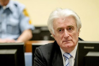 Luka Karadžić: Radovan se ne osjeća nimalo dobro